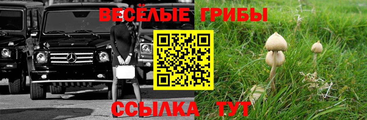 Псилоцибиновые грибы Magic Shrooms  Вход с VPN  Псилоцибиновые грибы Magic Shrooms  Ахтубинск 