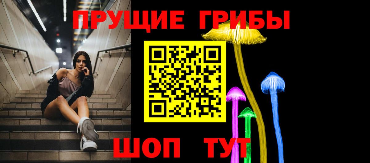 Галлюциногенные грибы Psilocybine cubensis Ахтубинск